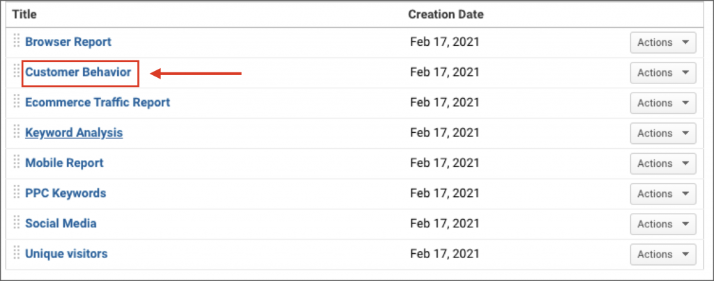 customer behavior report