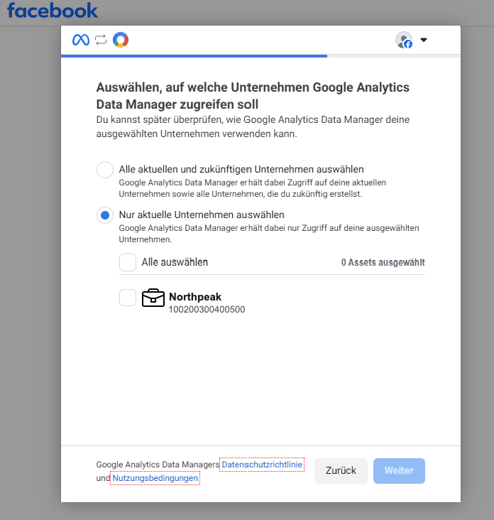 Meta dialog: select which business to grant access to